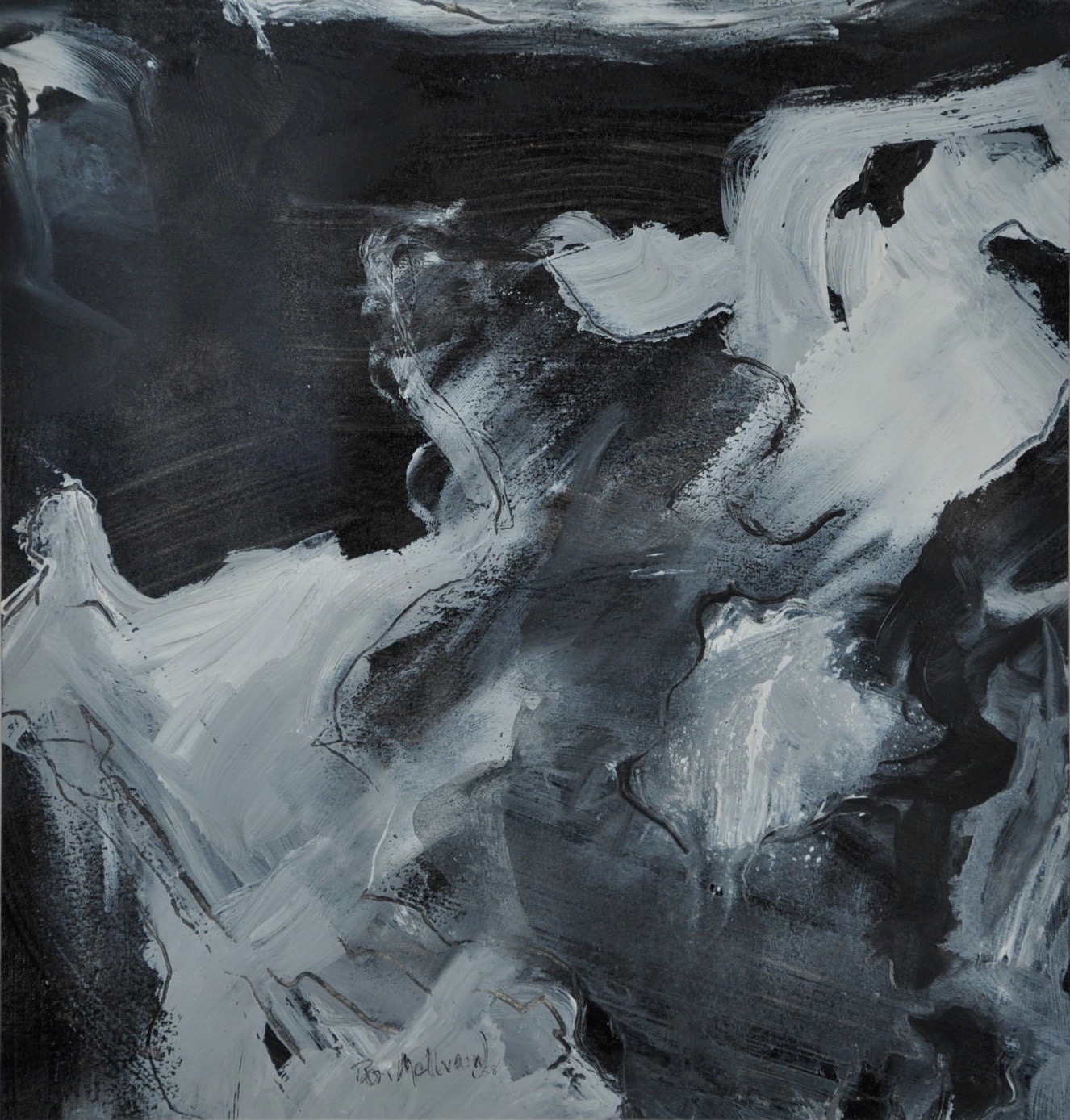 Black & White Study #1